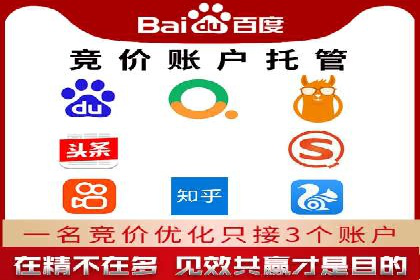 行业领先的SEM策略：成功案例与经验分享